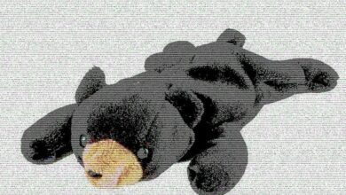 بیت کوین به ۵۷۵۰۰ دلار سقوط کرد و ضرر هفتگی را تا ۱۰ درصد در آغاز روند نزولی فصلی سپتامبر افزایش داد.