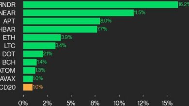 به روز رسانی عملکرد CoinDesk 20: RNDR با افزایش شاخص ۱۶.۲٪ افزایش می یابد