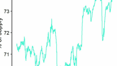 موجودیت بیت کوین غیر نقدی ۷۴ درصد از عرضه در گردش BTC را در سطوح بی سابقه کنترل می کند.