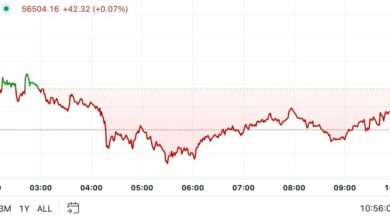 اولین محرک آمریکا: بیت کوین در روز بدون ریسک به زیر ۵۶۵۰۰ دلار می رسد