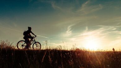 XRP و DOGE پیشتاز بازار در رشد هستند، در حالی که بیت کوین به زیر ۵۸۰۰۰ دلار سقوط می کند.