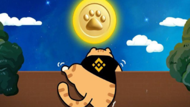 بازی تلگرامی «Catizen» با راه‌اندازی پاداش‌های بایننس، توزیع Airdrop را آشکار می‌کند – رمزگشایی