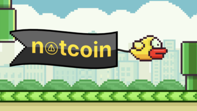 «Flappy Bird» ابتدا به عنوان بازی رمزنگاری تلگرام بازگشت، سازنده آن دخالت را رد کرد – رمزگشایی