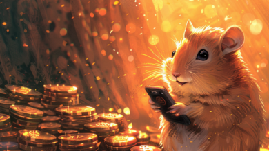 نحوه افزایش Airdrop “Hamster Kombat” قبل از انقضای جوایز – رمزگشایی