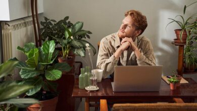 اکثر سرمایه گذاران کریپتو از DCA روی سکه های خود استفاده می کنند، کراکن را کشف کنید