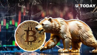 الگوی خرس نگران، بیت کوین را به 52000 دلار تهدید می کند