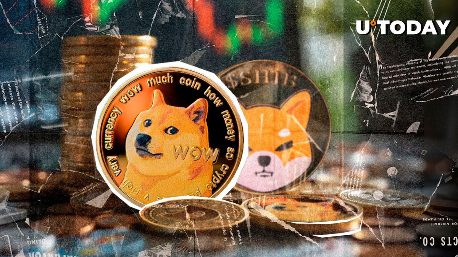 Dogecoin قهرمان سرمایه گذاران در برابر SHIB و PEPE می شود: گزارش Dogecoin قهرمان سرمایه گذاران در برابر SHIB و PEPE می شود: گزارش