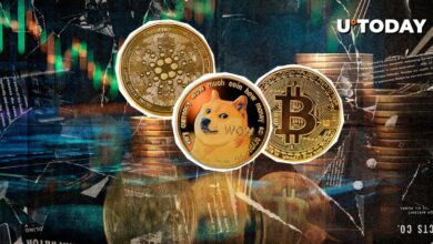 نهنگ های BTC، DOGE و ADA ممکن است باعث افزایش قیمت شوند، در اینجا دلیل آن است