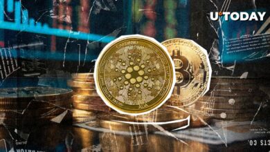 آیا بیت کوین به کاردانو نیاز دارد؟ جامعه کریپتو به فرد کروگر پاسخ می دهد