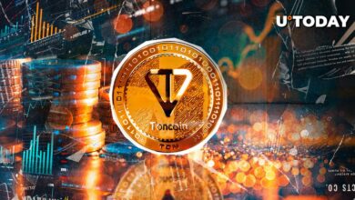 افزایش 95 درصدی Toncoin در تراکنش های بزرگ، آینده TON چیست؟