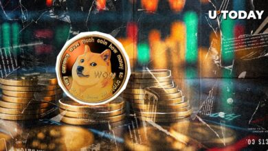 آیا Dogecoin (DOGE) صفر این چرخه را حذف خواهد کرد؟ یک امکان وجود دارد