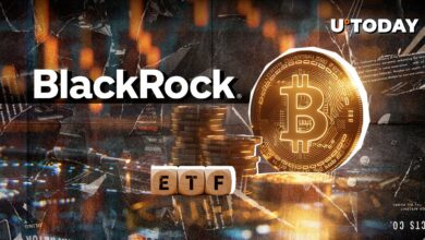 ETF بیت کوین بلک راک بزرگترین ورودی تمام دوران را ثبت می کند