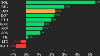به‌روزرسانی عملکرد CoinDesk 20: SOL 5.4% افزایش یافت، شاخص پیشرو از جمعه بالاتر رفت