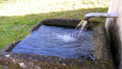 خروج ETF های بیت کوین ۲۴۲.۶ میلیون دلار، بزرگترین خروجی از ۳ سپتامبر