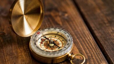 فراتر از حدس و گمان: ۲.۵ میلیارد دلار ورودی به ETF های Spot BTC شرط های صعودی را ارائه می دهد