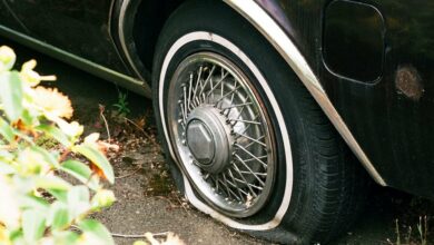 بیت کوین نزدیک به ۶۱ هزار دلار تثبیت می شود زیرا نهنگ ها به انباشت ۱۰ درصدی XRP ادامه می دهند