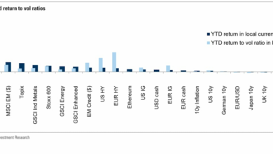 بیت کوین ۴۰ درصد YTD افزایش یافته است، اما طلا با بازدهی با ریسک برنده می شود.