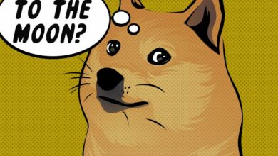 با تمجید ماسک از DOGE در کمپین ترامپ در پنسیلوانیا، دوج کوین ۷ درصد افزایش یافت.