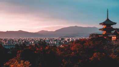 Metaplanet 107 بیت کوین دیگر خریداری می کند که در نتیجه نسبت سهام به بیت کوین ایجاد می شود به ۲۰ درصد افزایش یافت