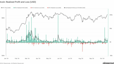 ادامه سودآوری می تواند حرکت بیت کوین را به بالاترین حد خود کند کند.