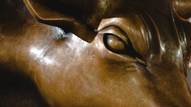 قیمت بیت کوین به بیش از ۷۱۰۰۰ دلار رسید زیرا پمپ بازار ارزهای رمزنگاری شده وحشی با انحلال ۱۷۵ میلیون دلار شورت مواجه شد.