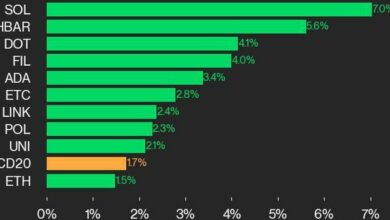به‌روزرسانی عملکرد CoinDesk 20: SOL 7 درصد افزایش یافته است، پیشرو در افزایش شاخص از جمعه