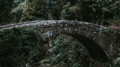 نقدینگی بیت کوین ممکن است با پل جدید BTC به اکوسیستم کاردانو سرازیر شود