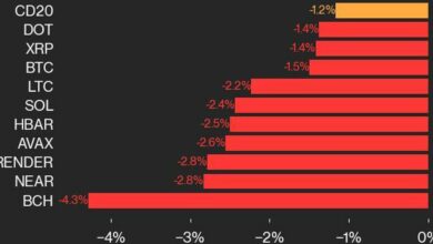 به‌روزرسانی عملکرد CoinDesk 20: با سقوط شاخص از روز سه‌شنبه، BCH 4.3 درصد کاهش می‌یابد.