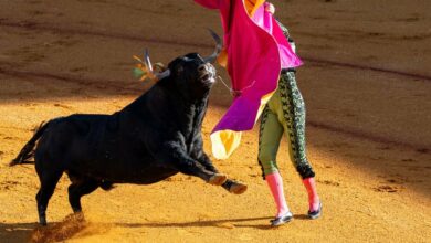 بیت کوین نزدیک به رکورد ممکن است فقط نیمی از سفر دور باشد زیرا تحقیقات BCA 200000 دلار را نشان می دهد