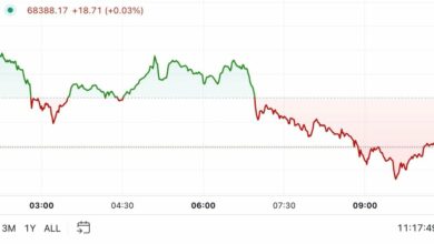 اولین محرک در آمریکا: بیت کوین به بالای ۶۹ هزار دلار می رسد زیرا ماکروها از گاوهای نر حمایت می کنند