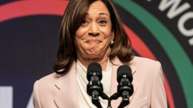 چرا انتخاب کامالا هریس به‌عنوان معاون رئیس‌جمهور به سادگی با توییچ، رالی را همراه با World of Warcraft پخش کرد – رمزگشا