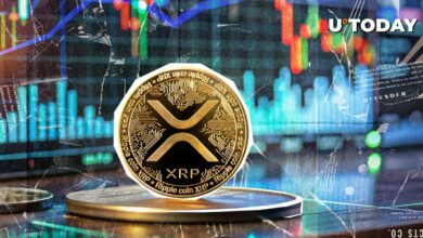 متخصص می گوید اولین ETF که در معرض XRP قرار می گیرد امکان پذیر است