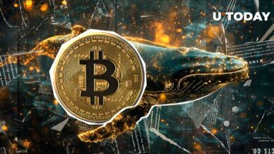 نهنگ های جدید بیت کوین 1.97 میلیون بیت کوین دارند: جزئیات