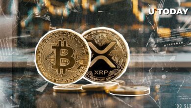 XRP و بیت کوین منجر به افزایش 2.2 میلیارد دلاری ارز دیجیتال شدند