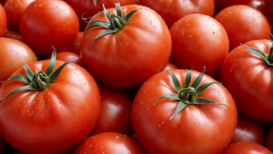 بازی تلگرام Tomarket قبل از راه اندازی توکن یک تقویت کننده Airdrop می فروشد – رمزگشایی