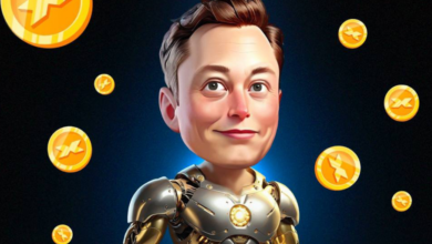 این هفته در بازی‌های کریپتو: انتشار «Champions Tactics»، Airdrop «X Empire»، توکن‌های «Tomarket» و «MemeFi» – رونوشت