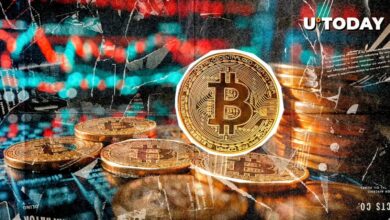 اولین هاوینگ تاریخی بیت کوین (BTC) 12 سال پیش در این تاریخ اتفاق افتاد: جزئیات