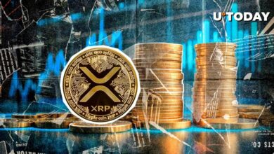 43 میلیون XRP در 24 ساعت: این چیزی است که اتفاق افتاد