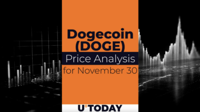 30 نوامبر پیش بینی قیمت DOGE