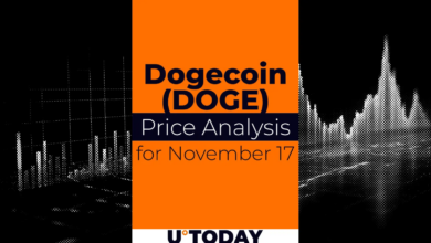17 نوامبر پیش بینی قیمت DOGE