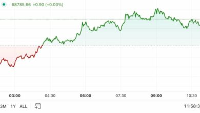 اولین محرک در آمریکا: تغییرات اندک بازار کریپتو به دلیل رای ایالات متحده