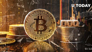 کل دارایی های ETF بیت کوین از 90 میلیارد دلار فراتر رفت