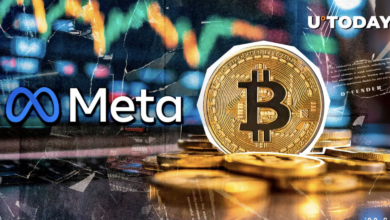 بیت کوین پس از رسیدن به 75000 دلار از متا بهتر عمل می کند