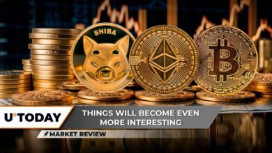 اگر این اتفاق بیفتد، Shiba Inu (SHIB) می‌تواند افزایش یابد، Dogecoin (DOGE) 15٪ از دست داده است، اما اشکالی ندارد، آیا بیت کوین (BTC) از هم اکنون به 70,000 دلار باز خواهد گشت؟