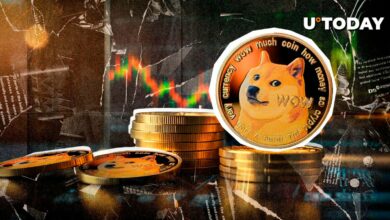 Dogecoin تصحیح پیش بینی شده را رد می کند، 4 شمع سبز بزرگ چاپ می کند