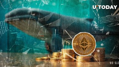 اتریوم (ETH) گفتگوهای پرحجم تمام وقت باعث فروش 150 میلیون دلاری نهنگ می شود