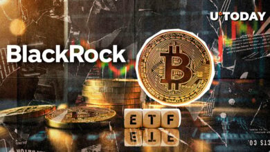 1 میلیارد دلار در 24 ساعت: ETF بیت کوین بلک راک رکوردشکنی کرد