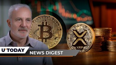 پیتر شیف فاش می کند چه کسی بیت کوین را به 99180 دلار رساند، XRP نتوانست افزایش یابد، نرخ رایت Shiba Inu تا 49،464 درصد افزایش یافته است: خلاصه اخبار رمزنگاری از U.Today