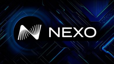 Nexo اولین حساب های شخصی USD را در Web3 راه اندازی کرد