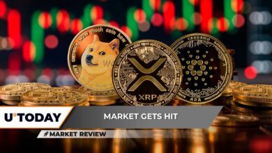 Dogecoin (DOGE): رویای بالای 1 دلار را در سر می پرورانید؟ افزایش شارپ XRP هنوز امکان پذیر است، کاردانو (ADA) قوی تر از هر کسی است